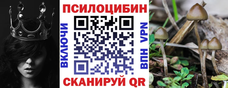 Купить где  Владимир  Псилоцибиновые грибы MAGIC MUSHROOMS 